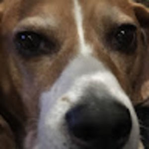 Meet your Posher, Gunnar